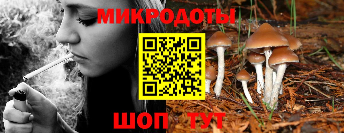 Псилоцибиновые грибы Psilocybine cubensis  цены наркотик  Димитровград  Вход с VPN 