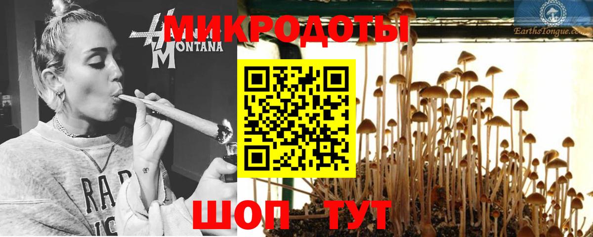 Галлюциногенные грибы мицелий Димитровград